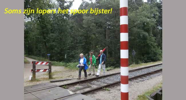 spoor bijster