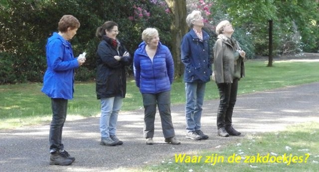 op zoek naar zakdoekjes