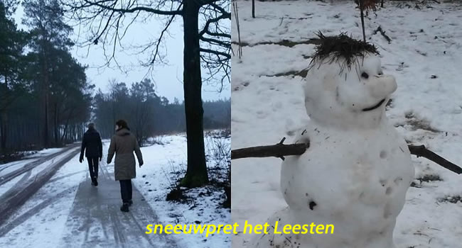 sneeuwpret